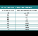 Mokra karma - Wołowina z korzeniem pietruszki dla psów dorosłych 410 g. PERRO